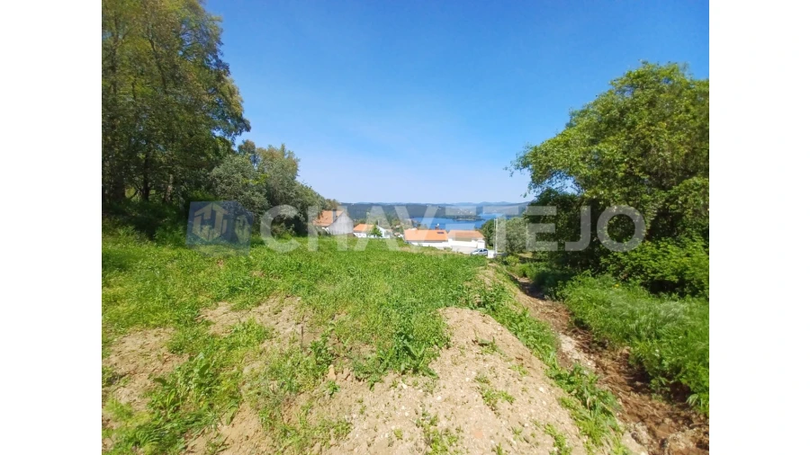Terreno Agricola ou Rústico para Venda em Serra e Junceira Foto 4