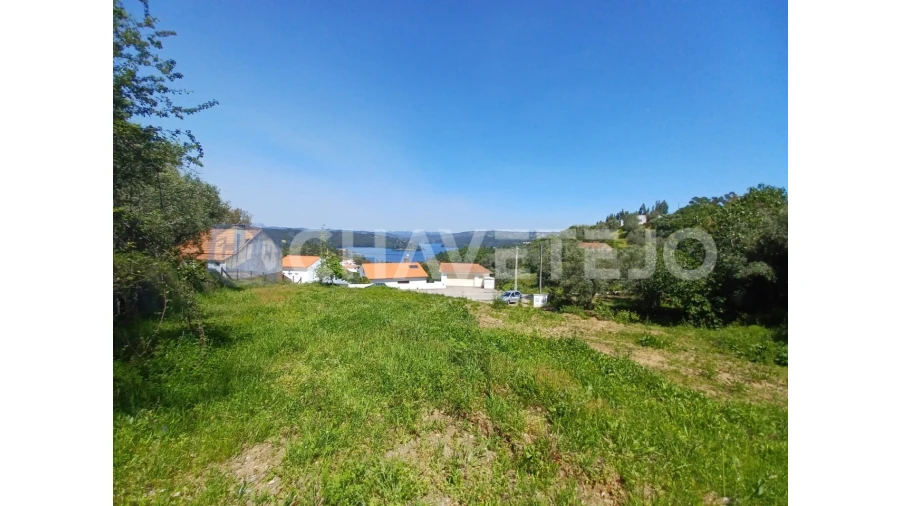 Terreno Agricola ou Rústico para Venda em Serra e Junceira Foto 6