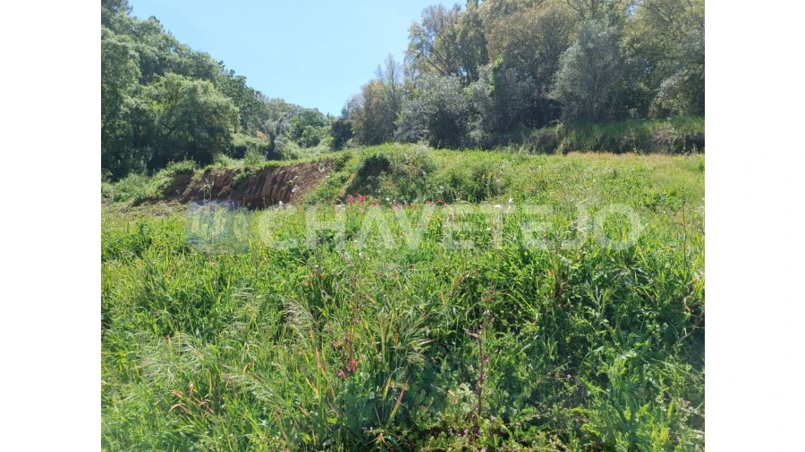 Terreno Agricola ou Rústico para Venda em Serra e Junceira Foto 8