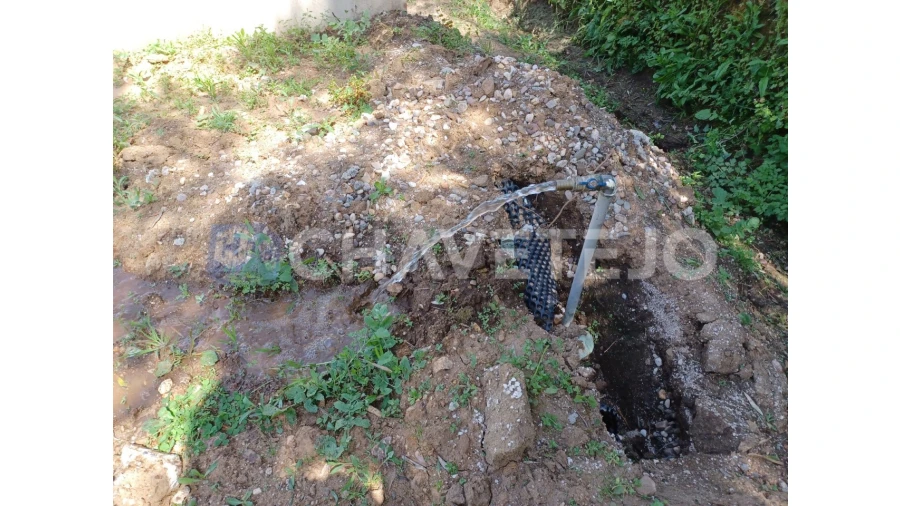 Terreno Agricola ou Rústico para Venda em Serra e Junceira Foto 10