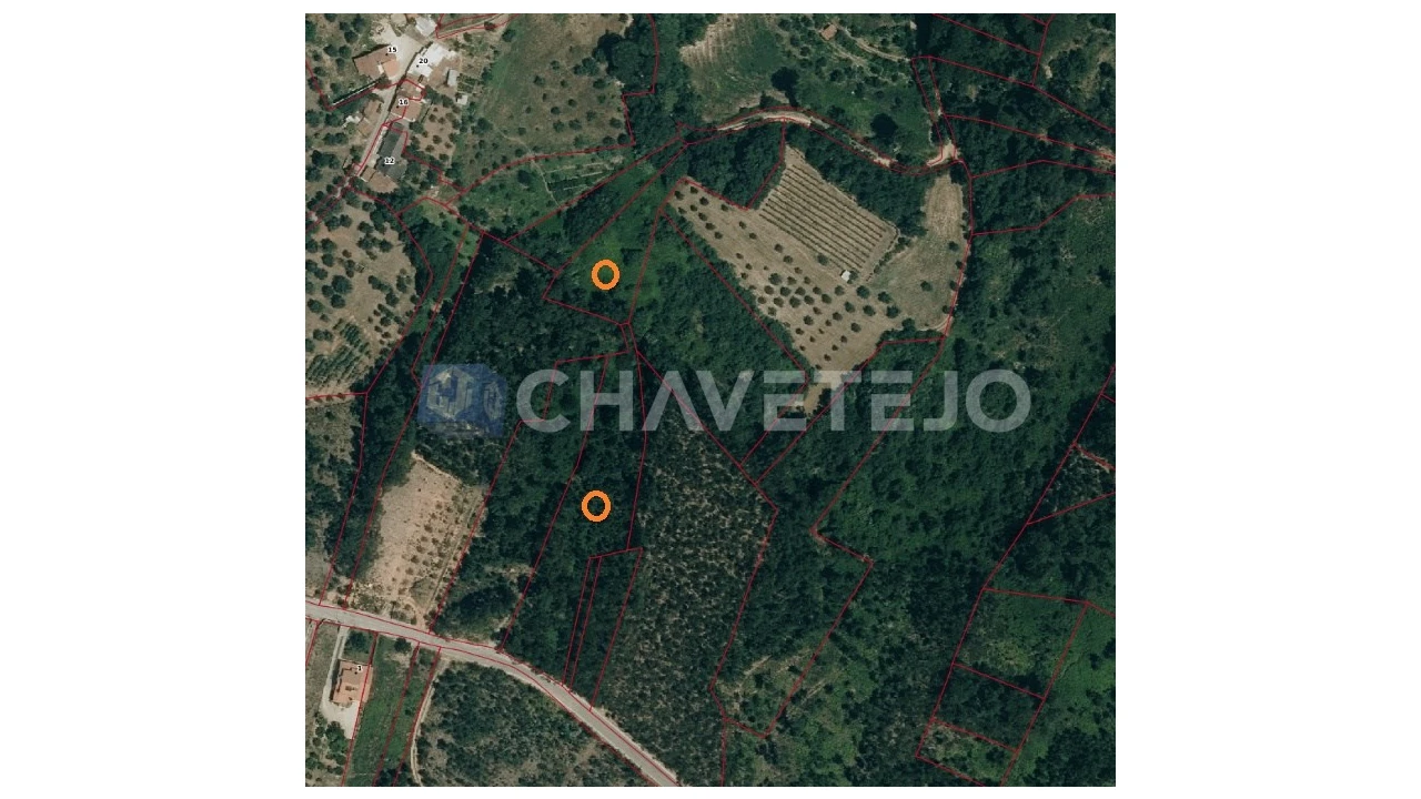 Terreno para Venda em Gondemaria e Olival Foto 1