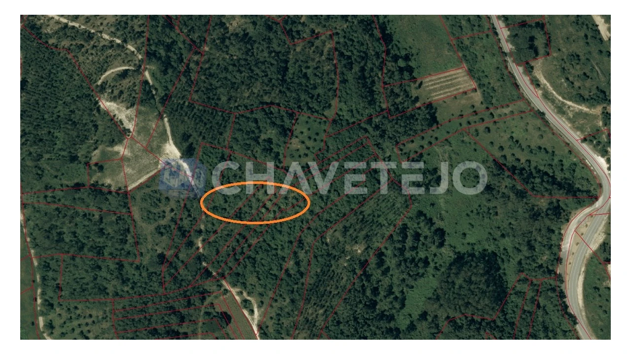 Terreno para Venda em Gondemaria e Olival Foto 1