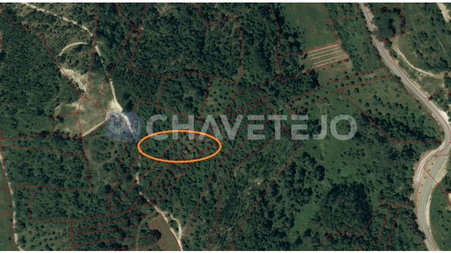 Terreno para Venda em Gondemaria e Olival