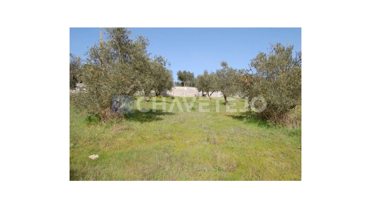 Terreno para Venda em Olalhas Foto 3