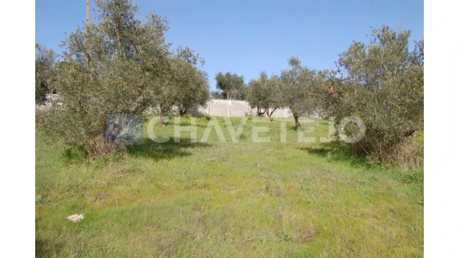 Terreno para Venda em Olalhas Foto 3