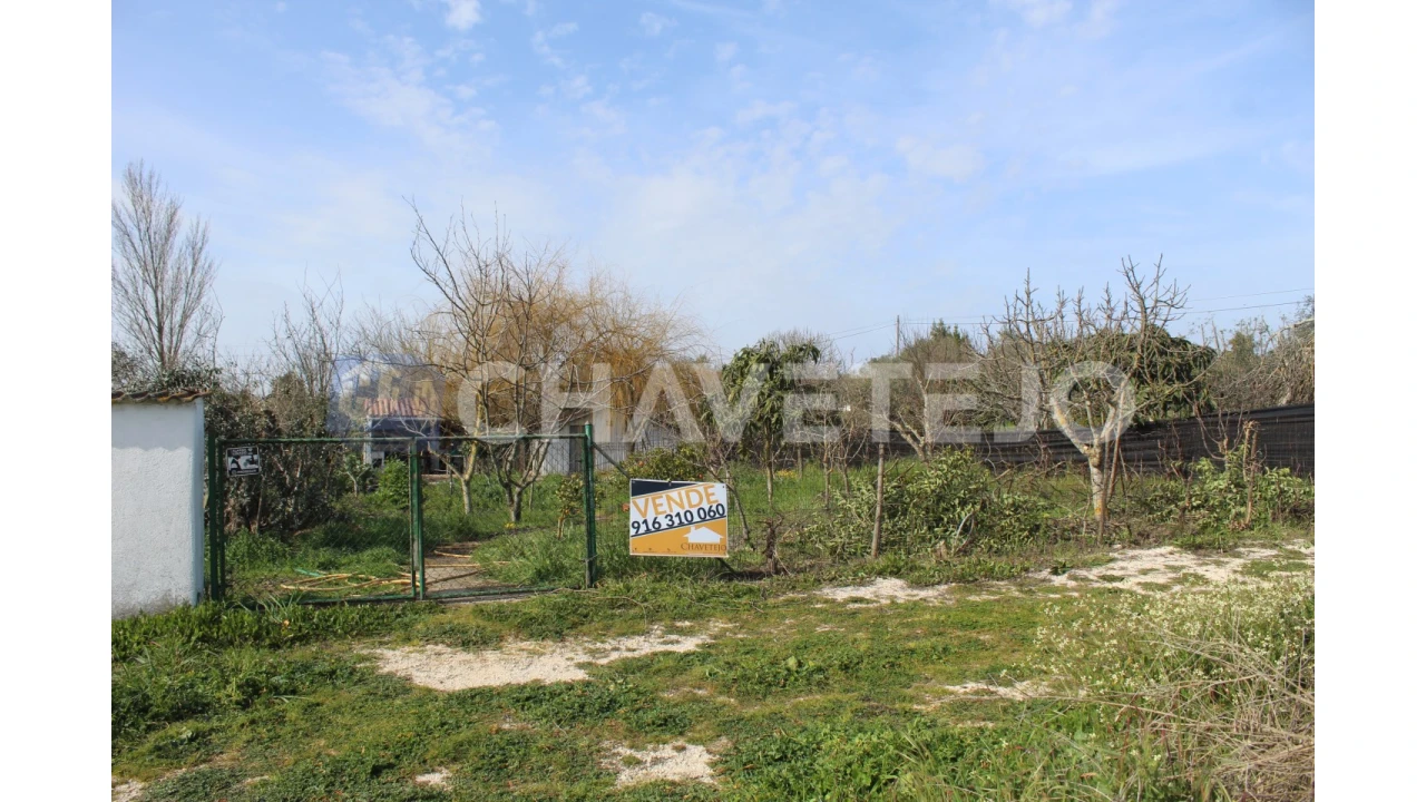 Terreno Agricola ou Rústico para Venda em São João Baptista e Santa Maria dos Olivais Foto 1