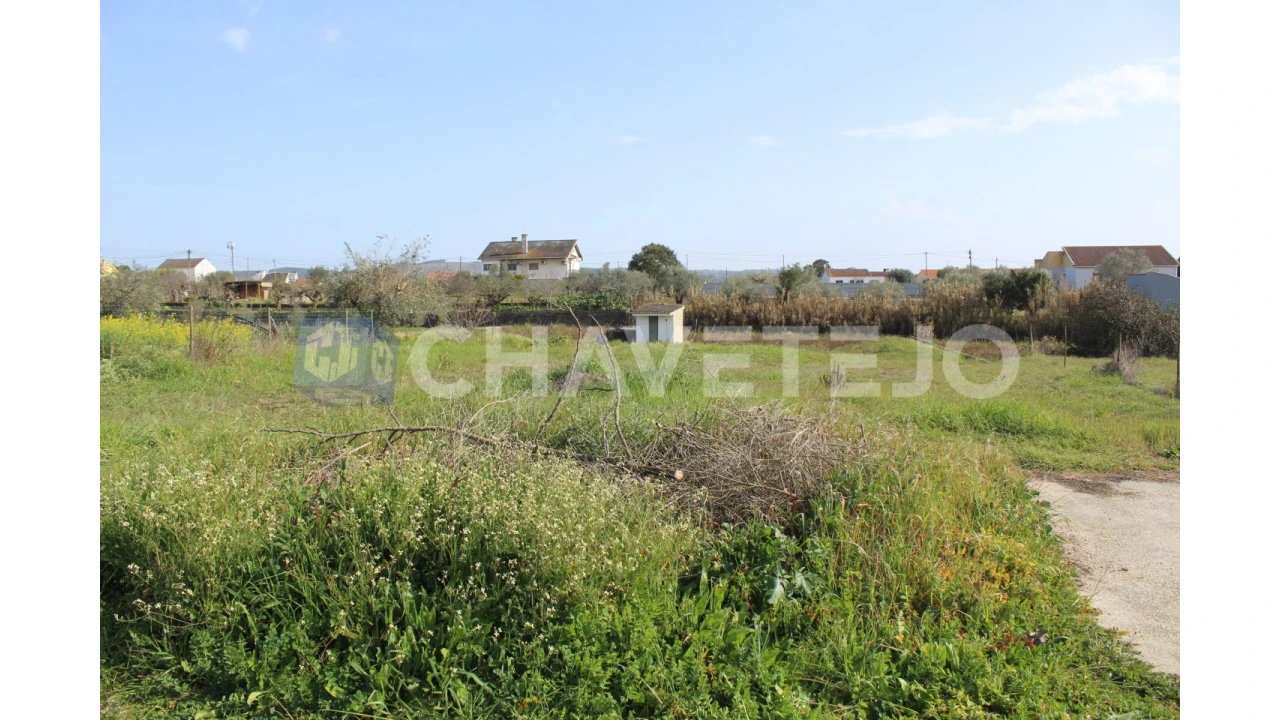 Terreno Agricola ou Rústico para Venda em São João Baptista e Santa Maria dos Olivais Foto 2