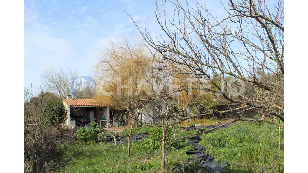 Terreno Agricola ou Rústico para Venda em São João Baptista e Santa Maria dos Olivais Foto 4