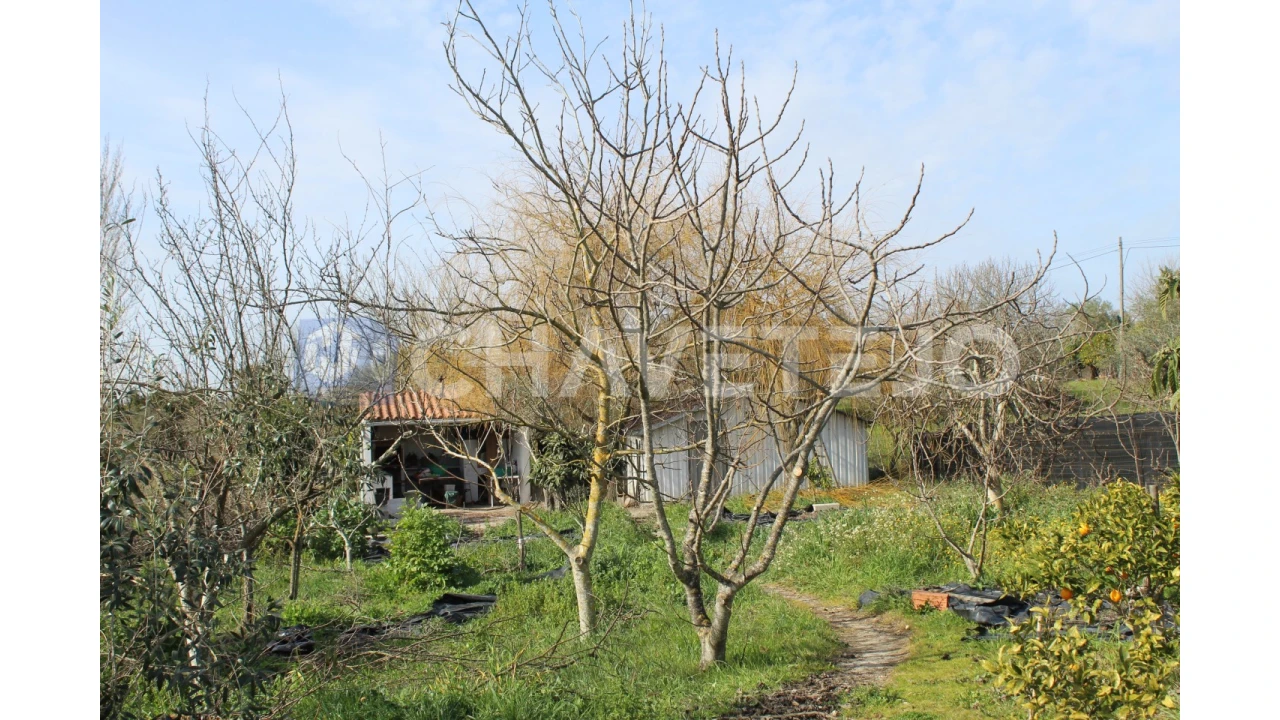 Terreno Agricola ou Rústico para Venda em São João Baptista e Santa Maria dos Olivais Foto 5