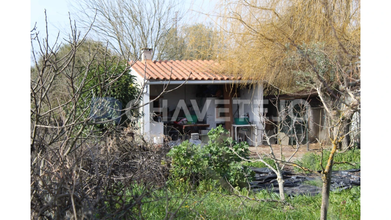 Terreno Agricola ou Rústico para Venda em São João Baptista e Santa Maria dos Olivais Foto 6