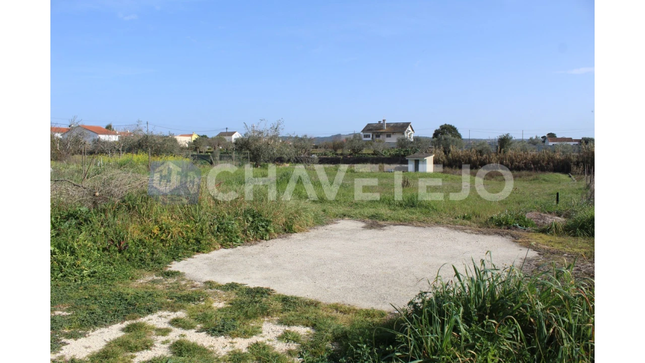 Terreno Agricola ou Rústico para Venda em São João Baptista e Santa Maria dos Olivais Foto 7