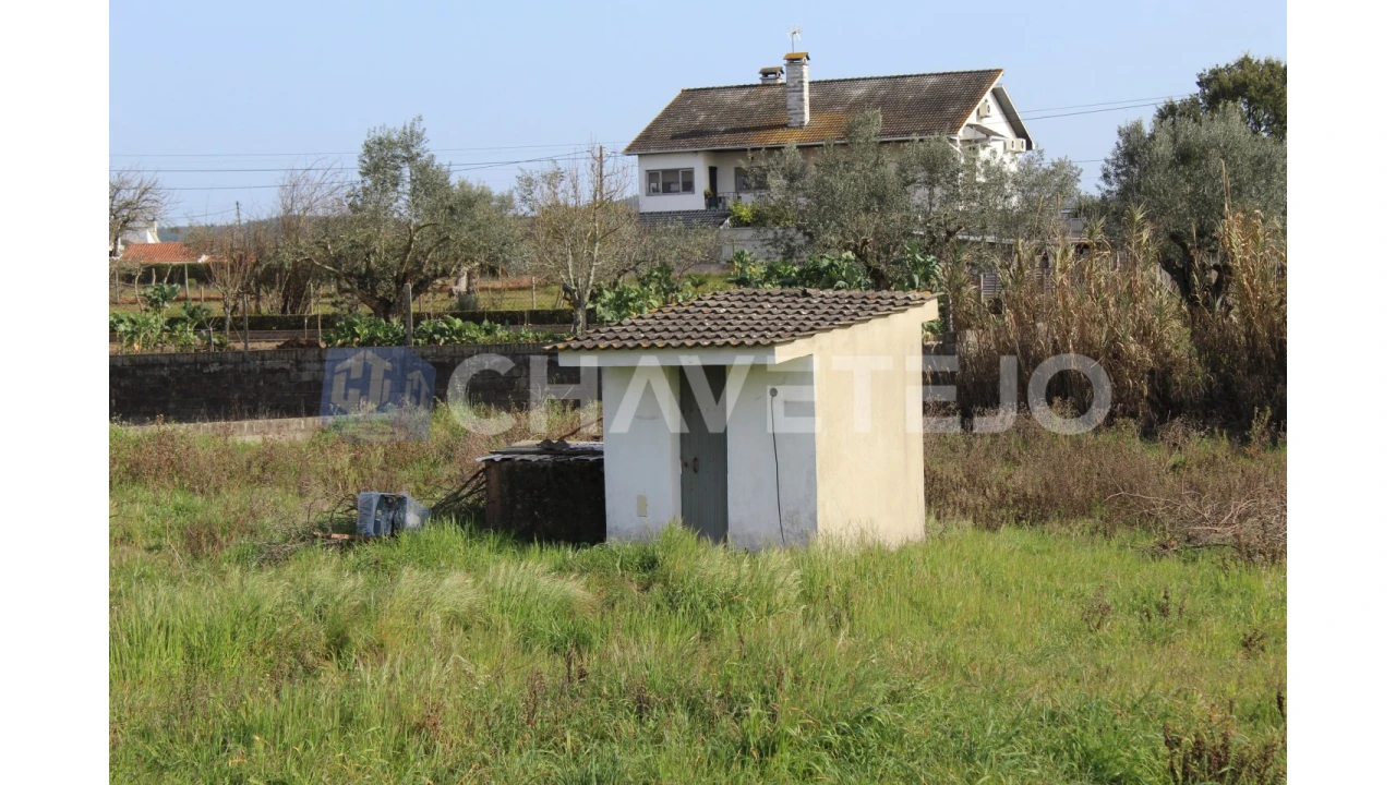 Terreno Agricola ou Rústico para Venda em São João Baptista e Santa Maria dos Olivais Foto 9