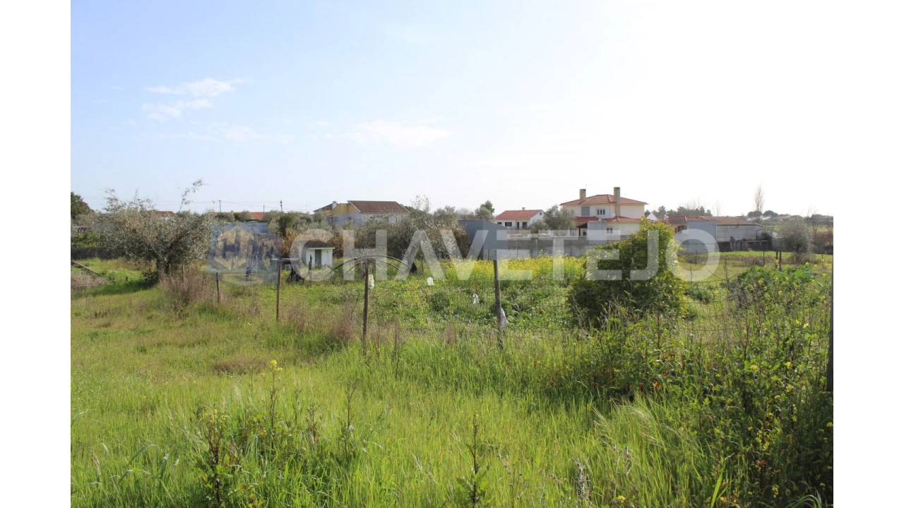 Terreno Agricola ou Rústico para Venda em São João Baptista e Santa Maria dos Olivais Foto 10