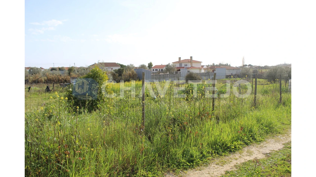 Terreno Agricola ou Rústico para Venda em São João Baptista e Santa Maria dos Olivais Foto 11