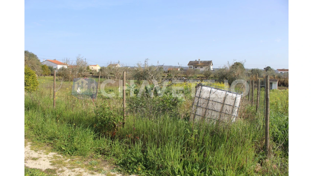 Terreno Agricola ou Rústico para Venda em São João Baptista e Santa Maria dos Olivais Foto 12