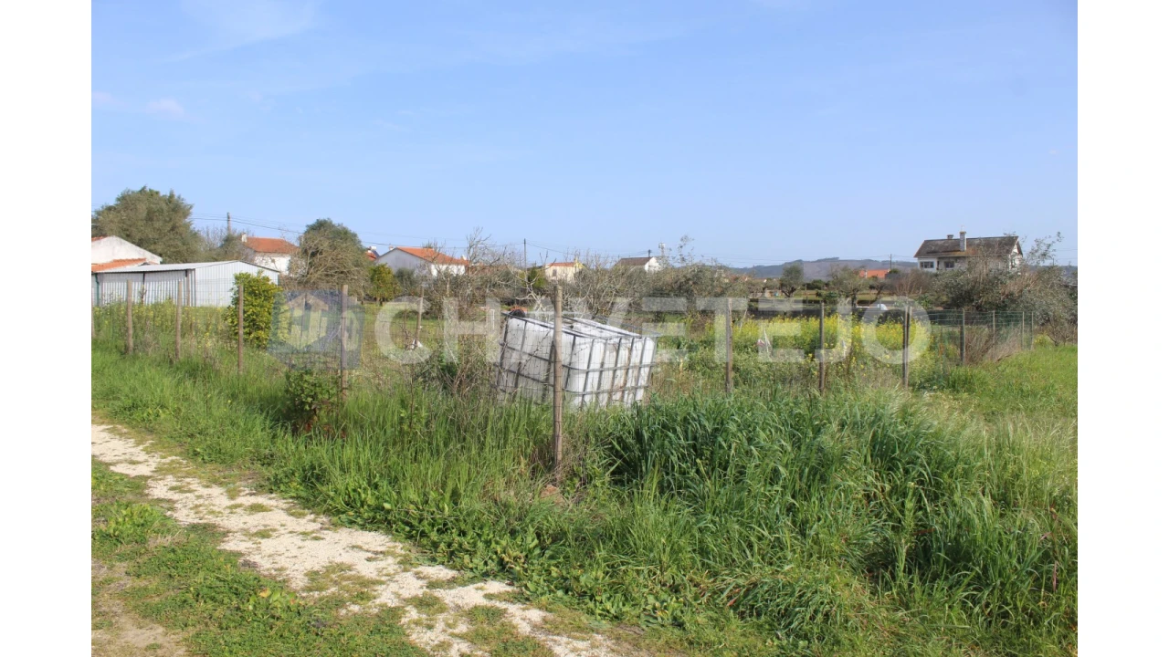 Terreno Agricola ou Rústico para Venda em São João Baptista e Santa Maria dos Olivais Foto 13
