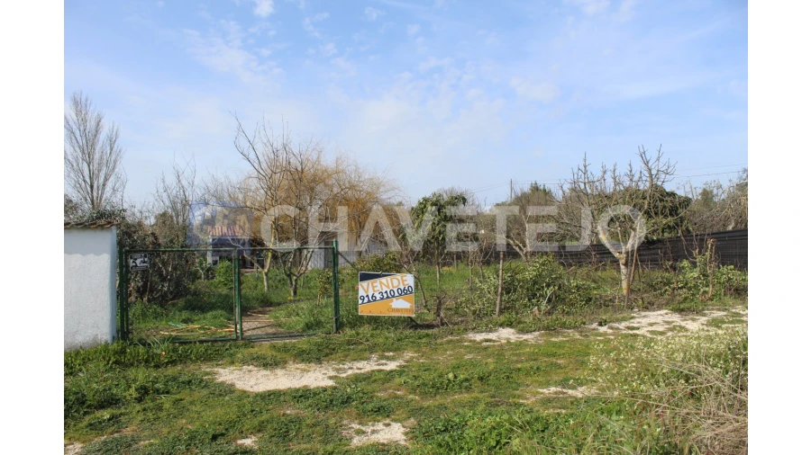 Terreno Agricola ou Rústico para Venda em São João Baptista e Santa Maria dos Olivais