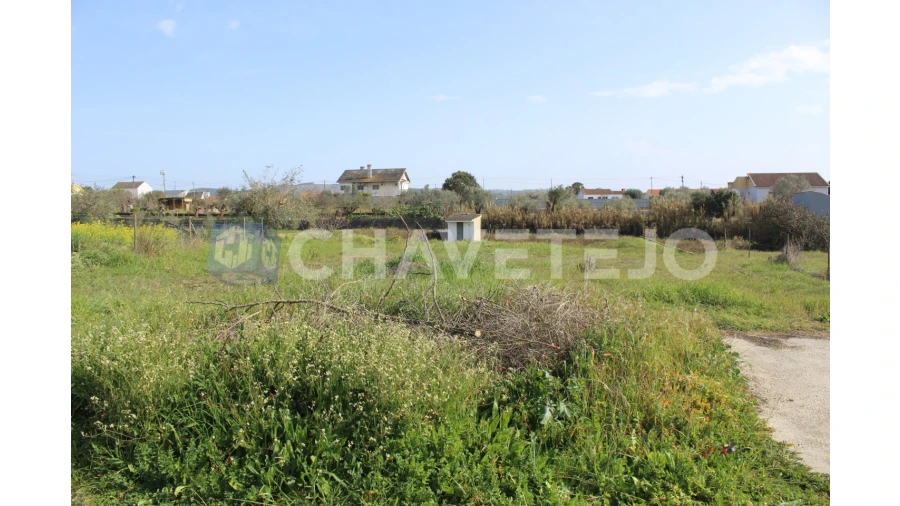 Terreno Agricola ou Rústico para Venda em São João Baptista e Santa Maria dos Olivais Foto 2
