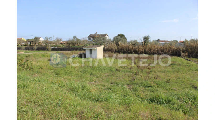 Terreno Agricola ou Rústico para Venda em São João Baptista e Santa Maria dos Olivais Foto 8