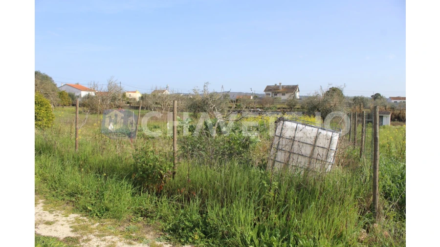 Terreno Agricola ou Rústico para Venda em São João Baptista e Santa Maria dos Olivais Foto 12