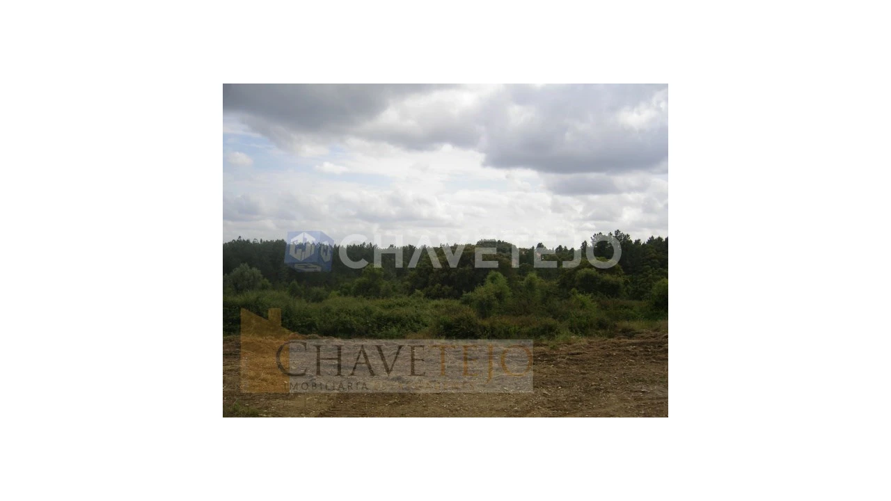 Terreno para Venda em Olalhas Foto 1