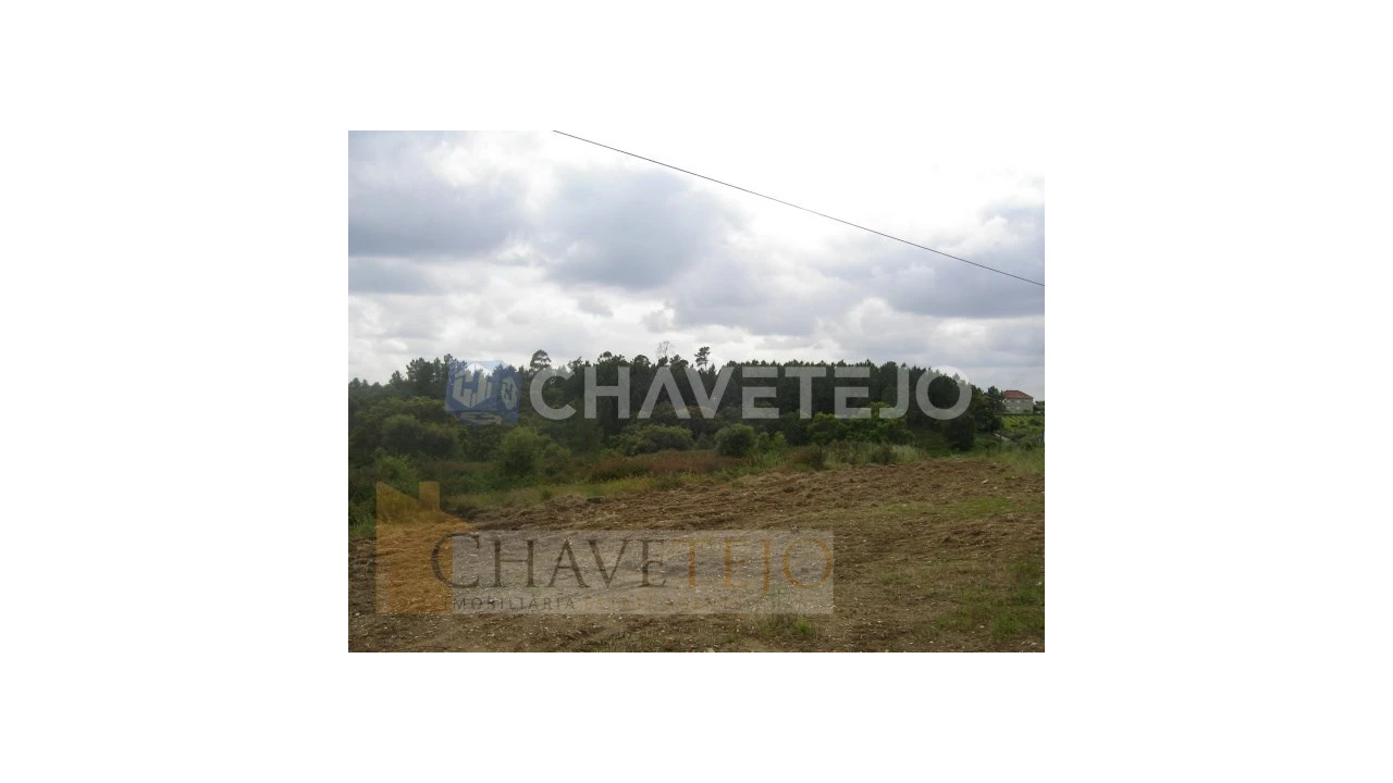 Terreno para Venda em Olalhas Foto 4