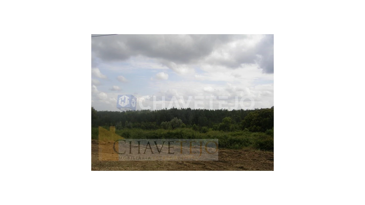 Terreno para Venda em Olalhas Foto 5