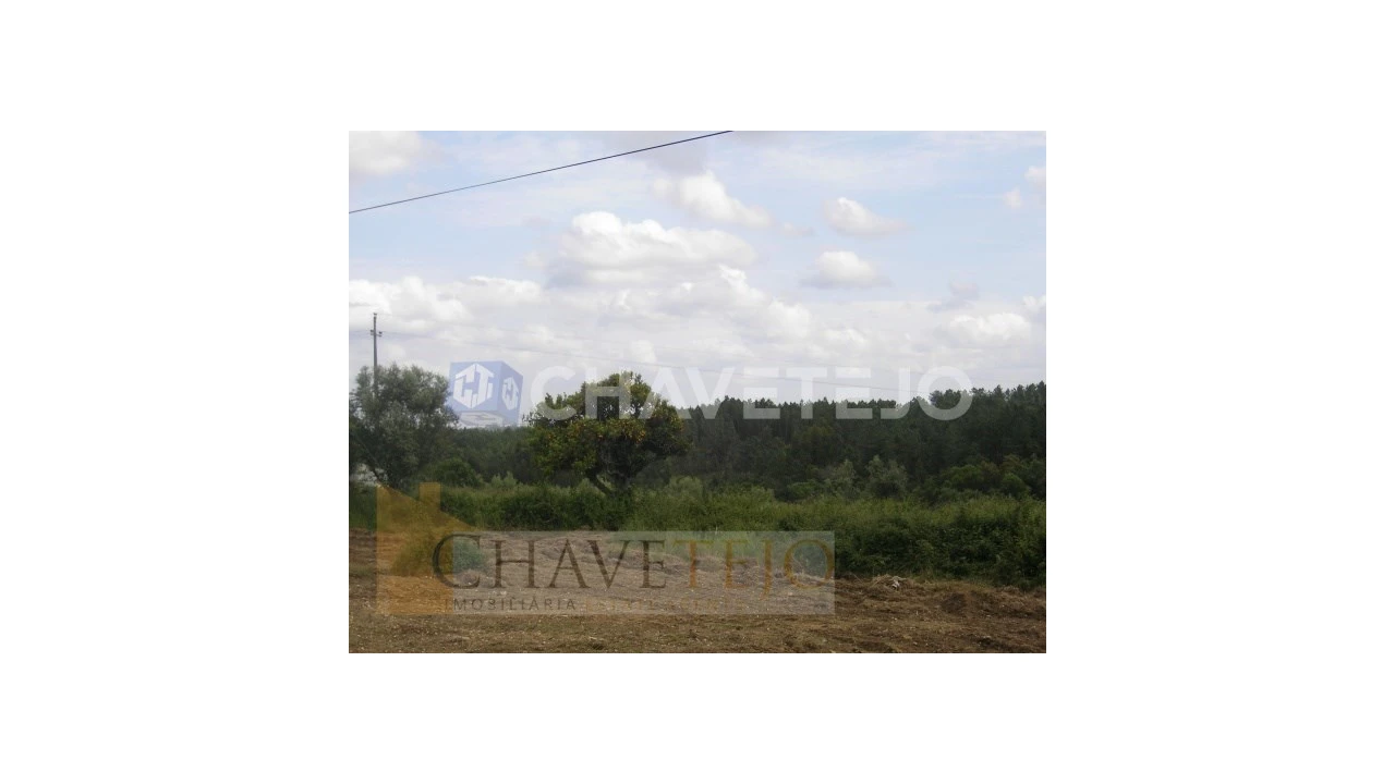 Terreno para Venda em Olalhas Foto 6