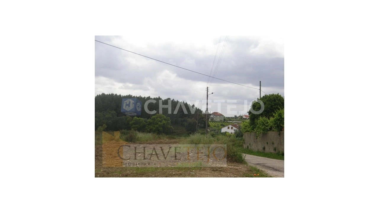 Terreno para Venda em Olalhas Foto 7