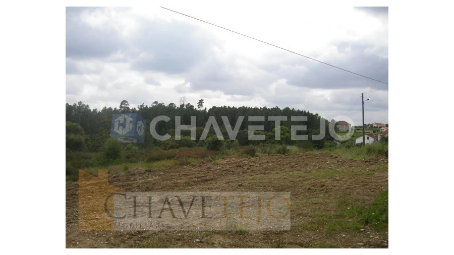 Terreno para Venda em Olalhas Foto 3