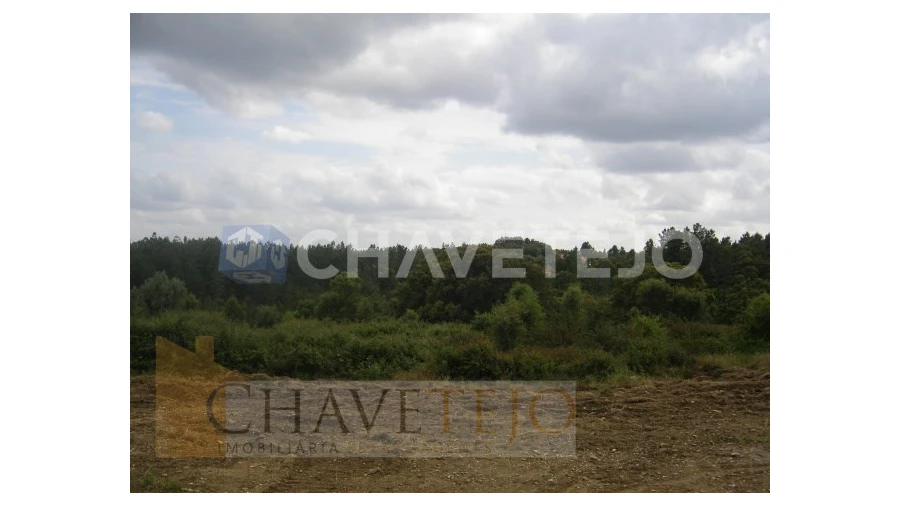 Terreno para Venda em Olalhas