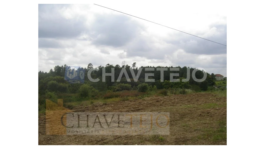 Terreno para Venda em Olalhas Foto 4