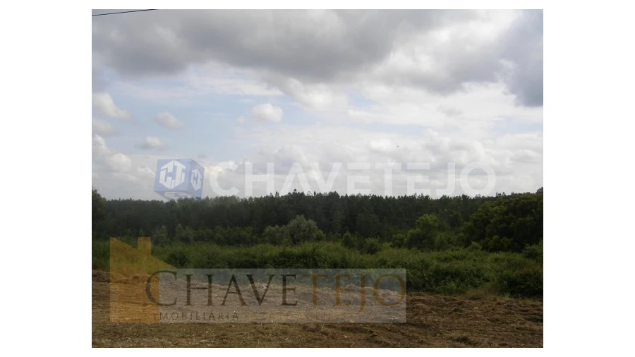 Terreno para Venda em Olalhas Foto 5