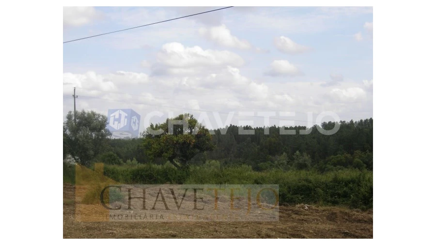 Terreno para Venda em Olalhas Foto 6