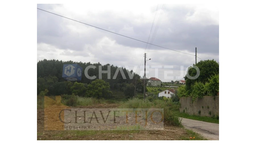 Terreno para Venda em Olalhas Foto 7