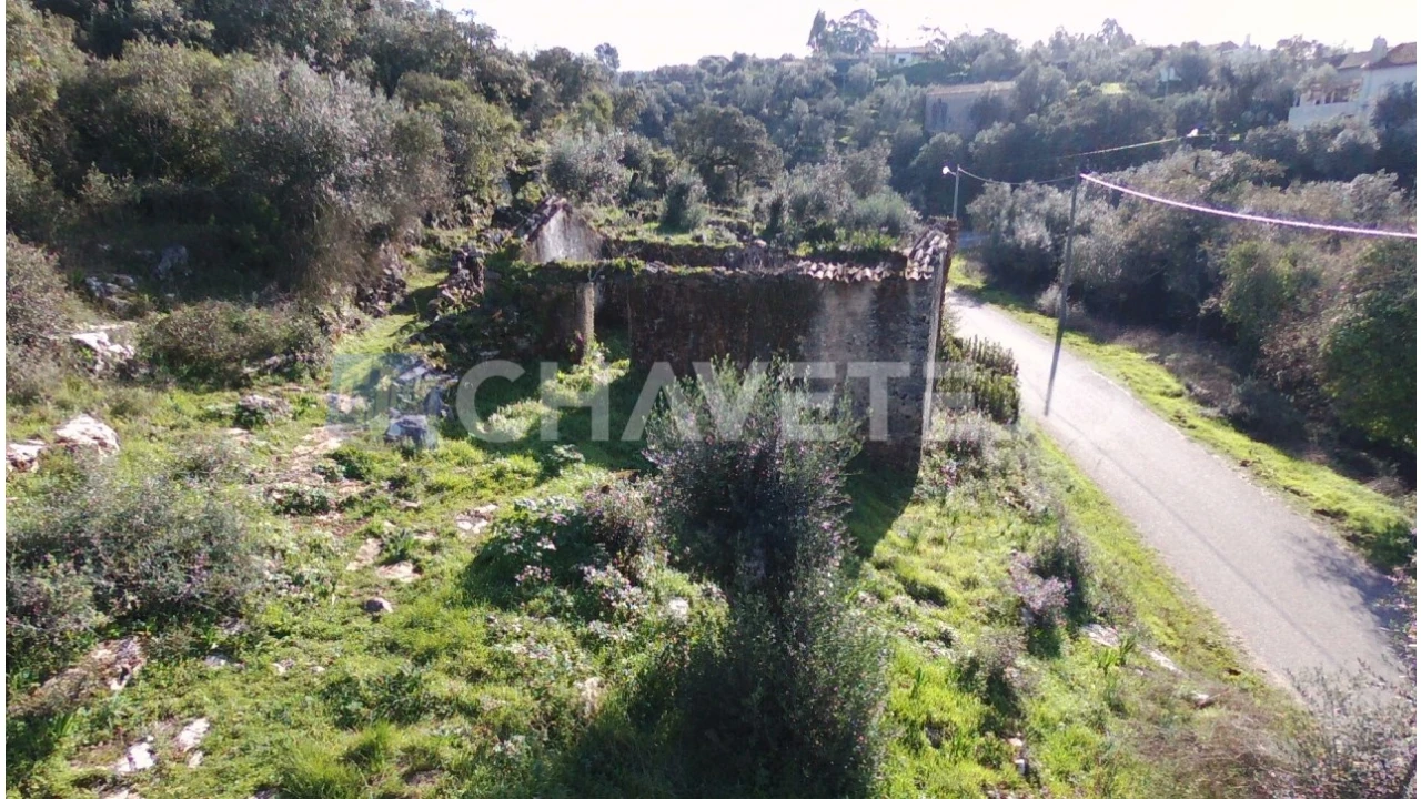 Terreno para Venda em Chão de Couce Foto 5