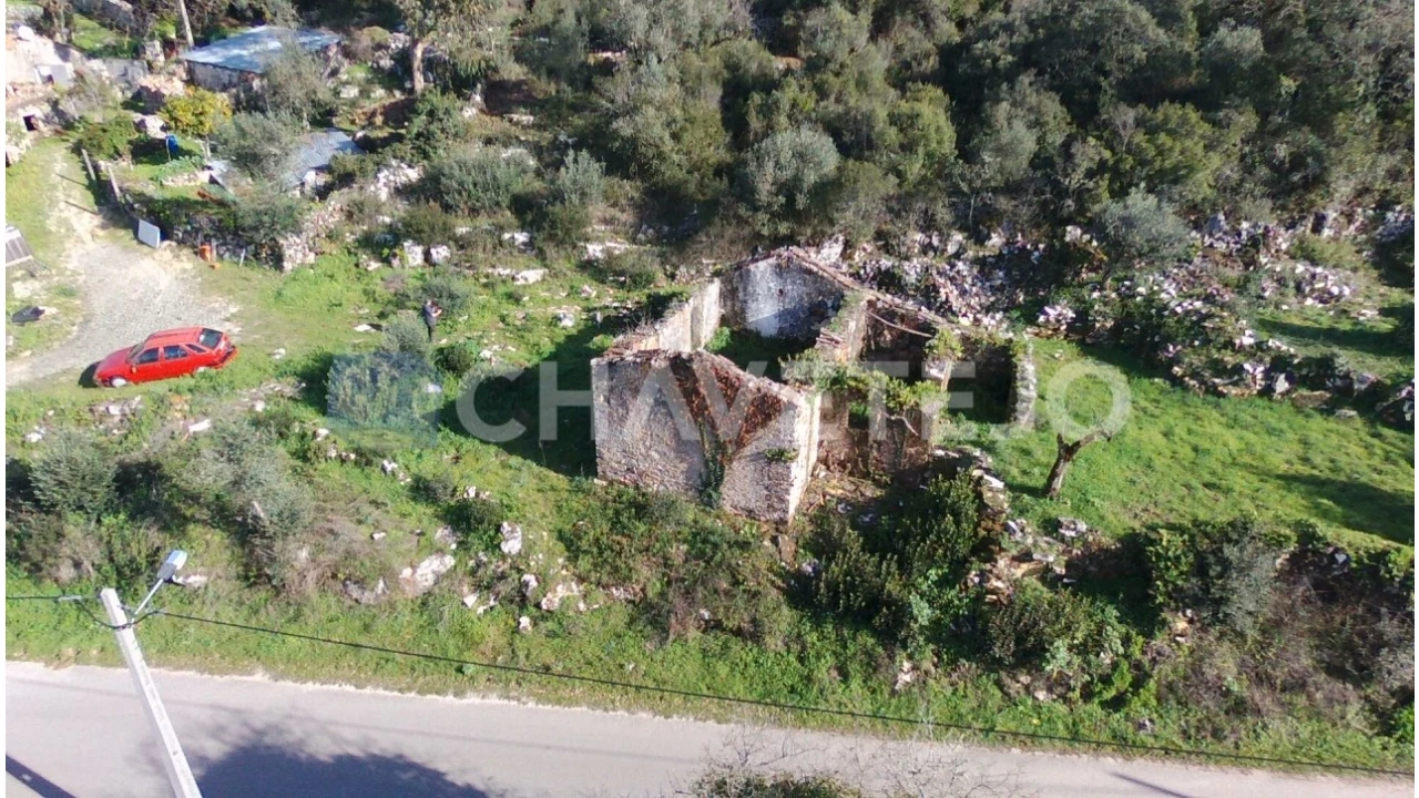 Terreno para Venda em Chão de Couce Foto 6