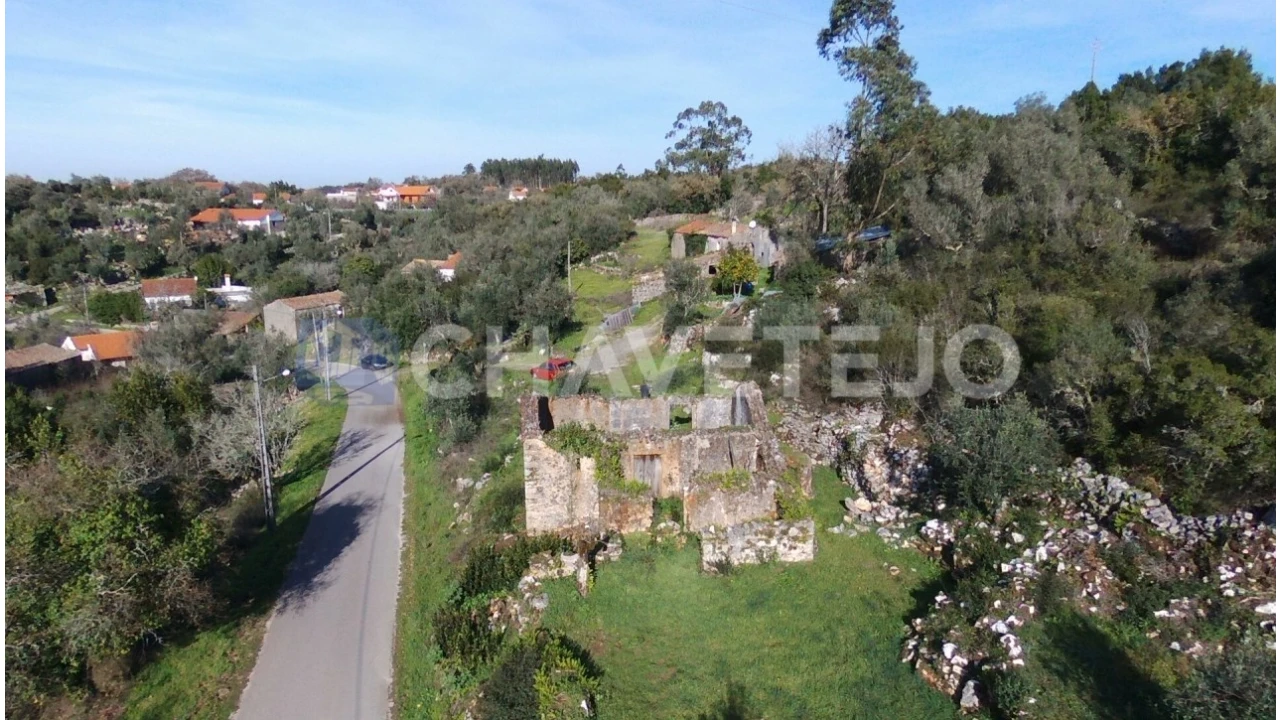Terreno para Venda em Chão de Couce Foto 10