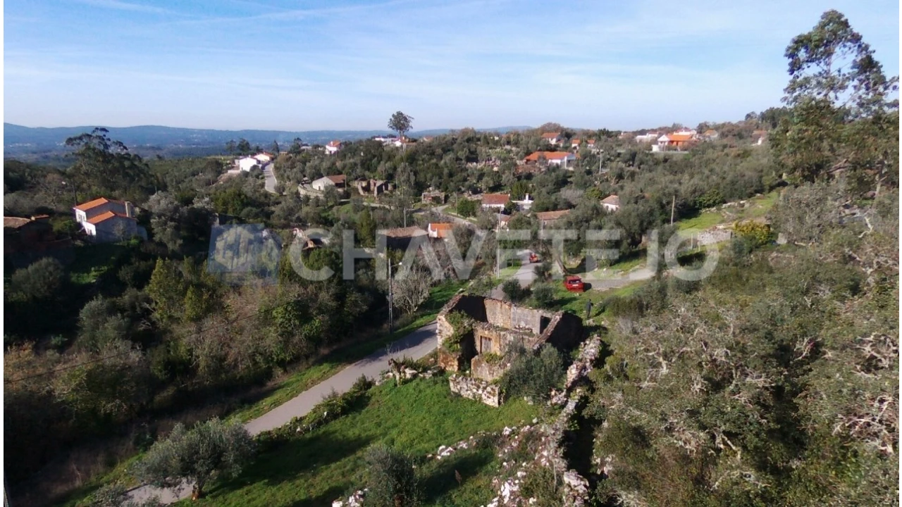 Terreno para Venda em Chão de Couce Foto 11
