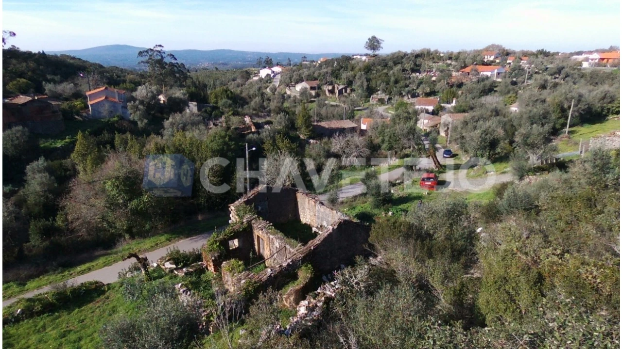 Terreno para Venda em Chão de Couce Foto 12