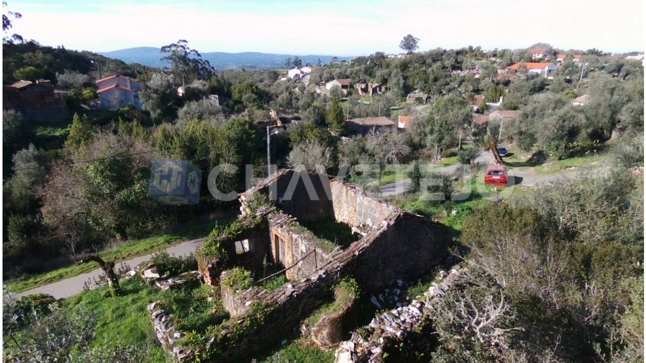 Terreno para Venda em Chão de Couce Foto 13