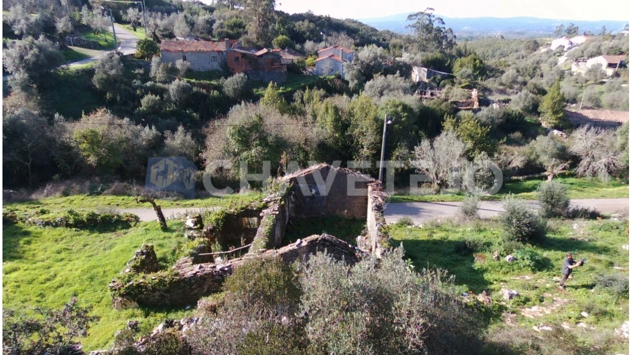 Terreno para Venda em Chão de Couce Foto 14