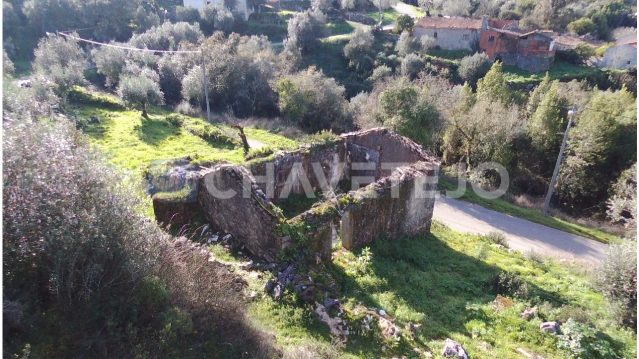 Terreno para Venda em Chão de Couce Foto 15