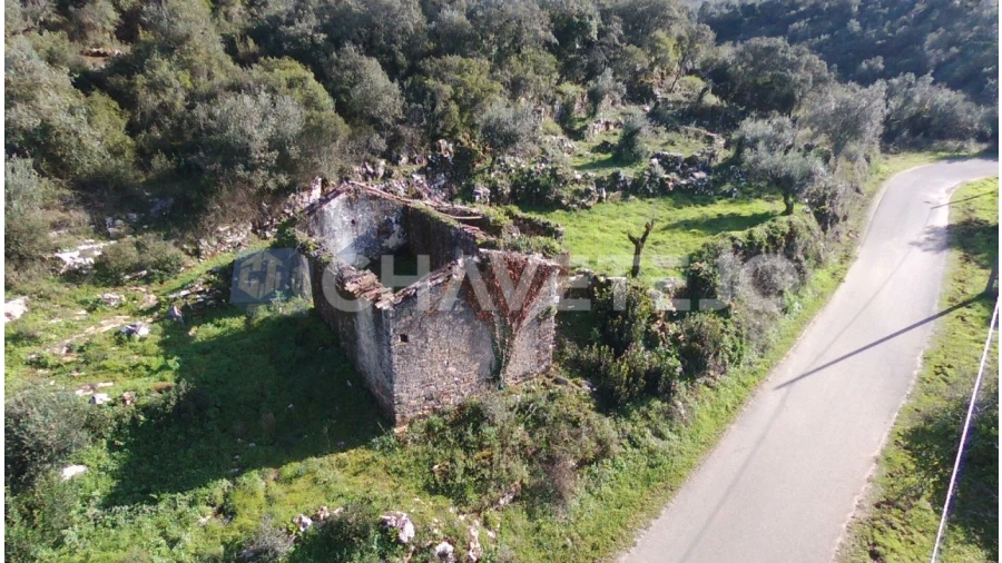 Terreno para Venda em Chão de Couce Foto 2
