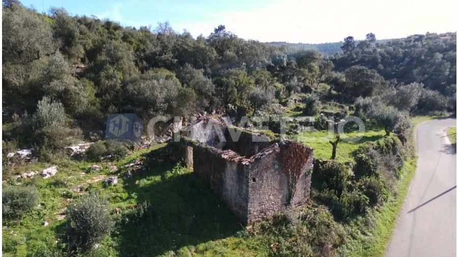 Terreno para Venda em Chão de Couce Foto 3