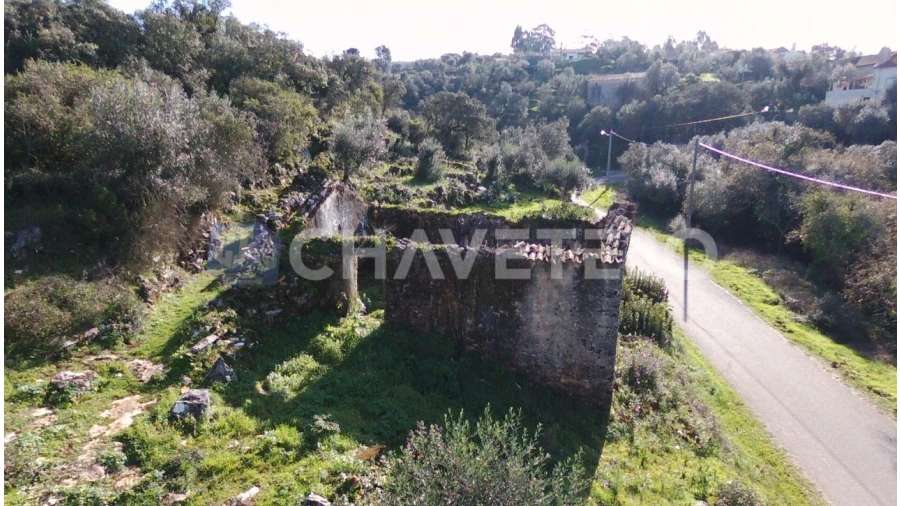 Terreno para Venda em Chão de Couce Foto 4