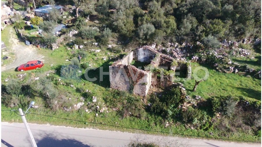 Terreno para Venda em Chão de Couce Foto 6