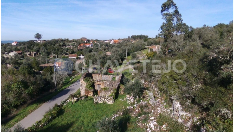 Terreno para Venda em Chão de Couce Foto 9