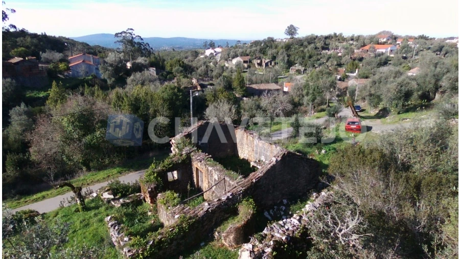 Terreno para Venda em Chão de Couce Foto 13
