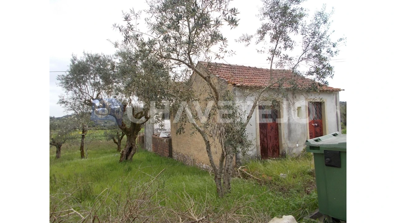 Moradia T4 para Venda em Freixianda, Ribeira do Fárrio e Formigais Foto 12